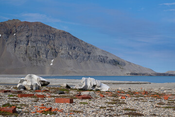 Whale bones with red bricks on a landing site called "Gashamna" which is located at "Hornsund" on Spitsbergen. The ocean and mountains in the background.