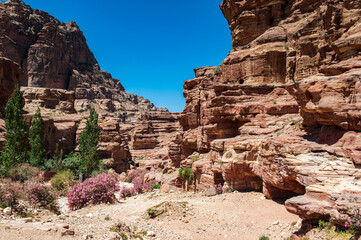 It's Canyon in Petra (Rose City), Jordan. The city of Petra was lost for over 1000 years. Now one of the Seven Wonders of the Word