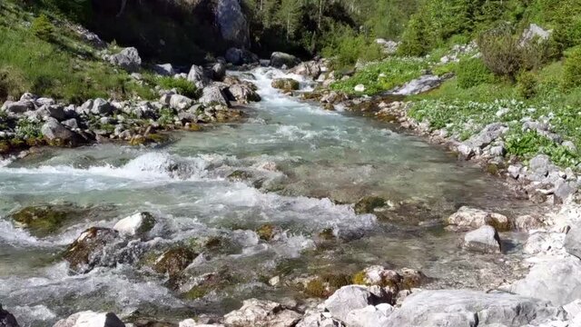 Steady low to ground view of mountain river Partnach forcefully flowing through the canyon. It is surrounded by stone walls, moss and green trees