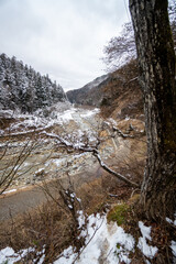 Jigokudani national Park in Japan.