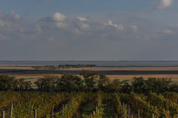 green landscape with sea in the background