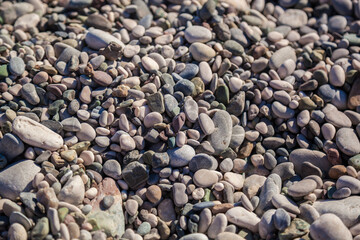 Rocky beach seashore. Rocky coast close-up.