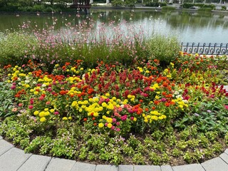 flowers in the garden