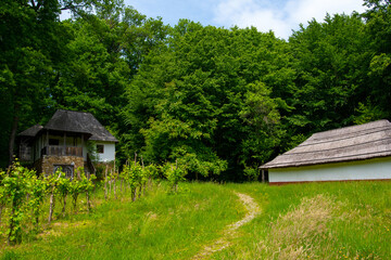 traditional clay and brick house with thatched roof