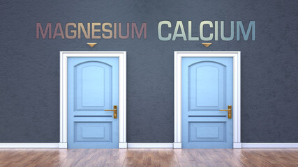 Magnesium and calcium as a choice - pictured as words Magnesium, calcium on doors to show that Magnesium and calcium are opposite options while making decision, 3d illustration