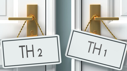 Th 2 and th 1 as a choice - pictured as words Th 2, th 1 on doors to show that Th 2 and th 1 are opposite options while making decision, 3d illustration