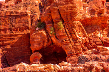 Ancient rock cut architecture of Petra, Jordan. Petra is one the New Seven Wonders of the World