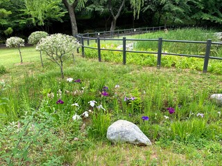stone bridge in garden