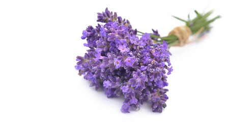 little bouquet of lavender flowers isolated on white background