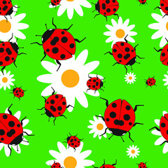 Ladybug and camomle on green background seamless pattern. Vector illustration.