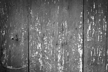 Black and white old wood texture background. Old fence. Vintage.