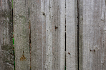 Old wood texture background. Old fence.