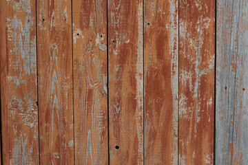 Obraz premium Old wood texture background. Old fence.