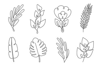 Fototapeta na wymiar Leaf line art. Abstract plant illustration on white background.