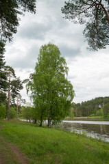 Obraz premium Spring landscape