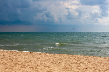 Marine wallpaper. An empty beach without people. A seagull flies over the sea. Thunderclouds over the ocean.