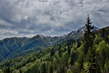 Fototapeta na wymiar Greater Caucasus Mountains - Mountains in Samegrelo Planned National Park, Georgia.