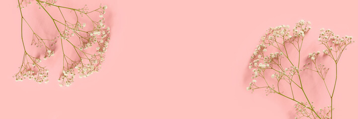 Obraz na płótnie Canvas Banner with gypsophila flowers on a pink pastel background.