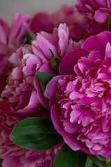 bouquet of pink peonies close-up