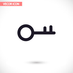 Keys  vector icon , lorem ipsum Flat design