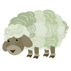 cute little sheep from the farm, flat, isolated object on a white background, vector illustration,