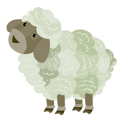 cute little sheep from the farm, flat, isolated object on a white background, vector illustration,