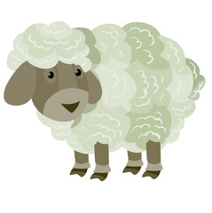 cute little sheep from the farm, flat, isolated object on a white background, vector illustration,