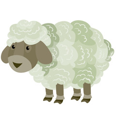 cute little sheep from the farm, flat, isolated object on a white background, vector illustration,