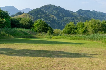 Fototapeta na wymiar 初夏の麻機遊水地　雑草が生えないように手入れをされた広場　静岡市