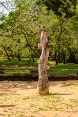 Archaelogical remains of the Ancient City of Polonnaruwa, Sri Lanka.  World Heritage Site