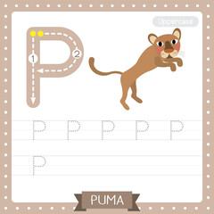 Letter P uppercase tracing practice worksheet of Jumping Puma