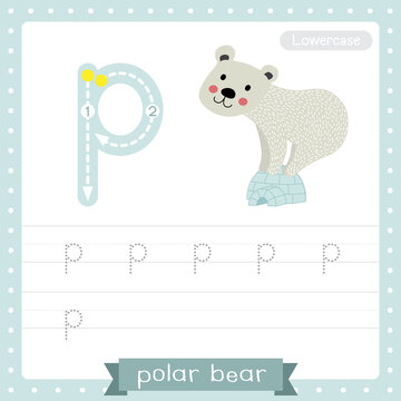 Letter P lowercase tracing practice worksheet of Polar Bear standing on igloo
