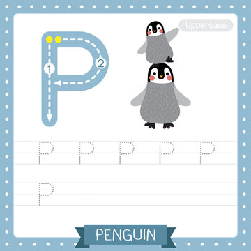 Letter P uppercase tracing practice worksheet of Funny Penguin