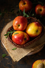 Beautiful juicy nectarines. Ripe farm harvest. Fragrant fruits. Fresh Juicy Organic Nectarines