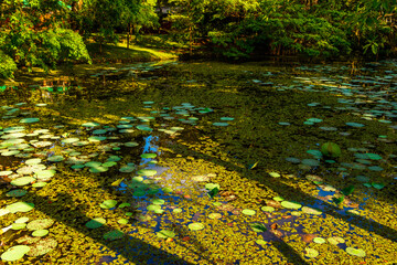 The gardens of Sigiriya, Sri Lanka. UNESCO World Heritage Site