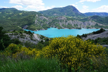 Fototapeta na wymiar panoramic view of the lake of Serre Ponçon, France on a gorgeous spring day with yellow broom 