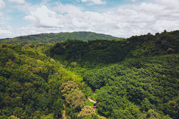 Fototapeta premium Mountains and green trees during the day
