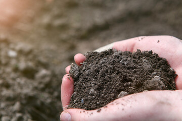 Female hands hold a handful of soil for planting.