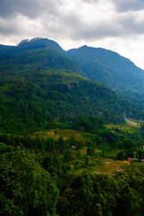 Fototapeta na wymiar Mountain hill in Sri Lanka