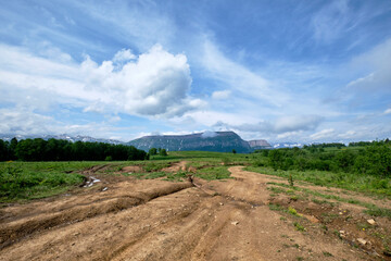 Fototapety na wymiar - Fototapeta24.pl