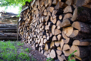 felled trees for firewood in the village in summer