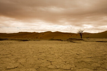 scenic view over namibian desert