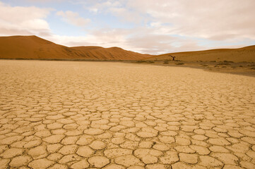 scenic view over namibian desert
