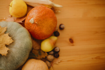 Pumpkins, autumn leaves, walnuts,chestnuts, corn, apple and pear on rustic wooden table in sunny room. Autumn seasonal harvest. Happy Thanksgiving. Fall food and decor