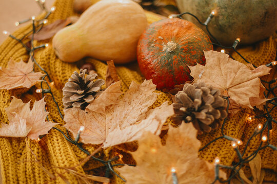 Cozy image of pumpkins, autumn leaves, warm lights and pine cone on yellow knitted sweater. Hello autumn. Fall hygge