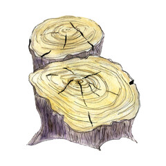 Two watercolor stumps