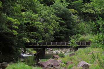 渓谷にある古い水道橋