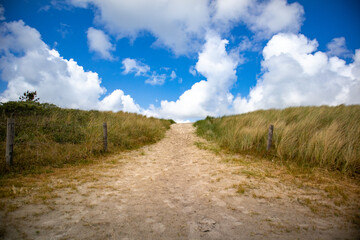 Fototapeta na wymiar Horizontal springtime shot of sand path through tall grass towards the sea against a blue white clouded sky