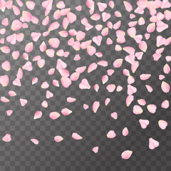 Abstract romanic background with flying Pink rose, cherry or sakura petals petals isolated on a transparent background. Flying pink petals mock up. Vector illustration. EPS 10.