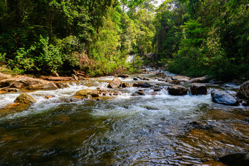 River in the Sinharaja Forest Reserve,  a national park in Sri Lanka. UNESCO World Heritage